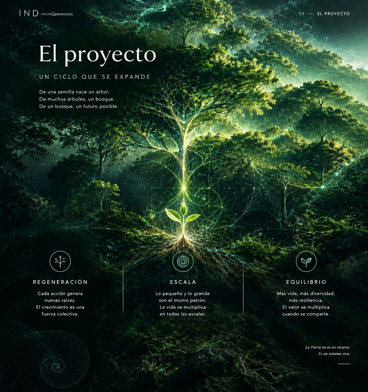 El proyecto